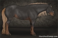 Horse Color:Liver Chestnut Rabicano 