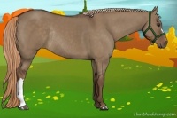 Horse Color:Liver Red Dun Rabicano 