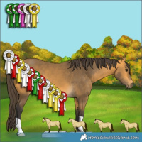 Horse Color:Buckskin 