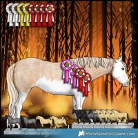 Horse Color:Palomino Roan Splash Varnish