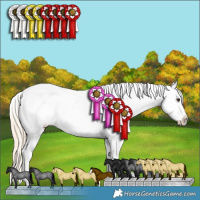 Horse Color:Palomino Roan Splash Varnish 