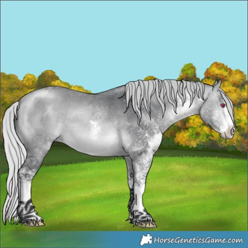 Horse Color:White Spotted Silver Brown Chinchilla 