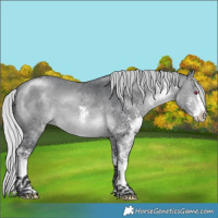 Horse Color:White Spotted Silver Brown Chinchilla 