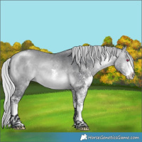 Horse Color:White Spotted Silver Brown Chinchilla 