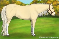 Horse Color:Palomino