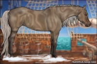 Horse Color:Silver Brown Dun