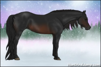 Horse Color:Gray Brown 