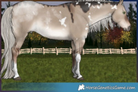 Horse Color:White Spotted Liver Red Dun Mushroom
