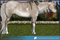 Horse Color:White Spotted Liver Red Dun Mushroom