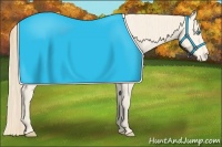 Horse Color:Perlino Varnish 