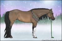Horse Color:Brown Dun