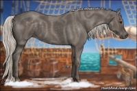 Horse Color:Silver Smoky Black 