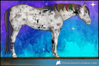 Horse Color:ERROR: UNKNOWN ANOMALY