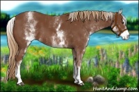 Horse Color:White Spotted Chestnut Sabino