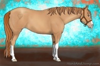 Horse Color:Gold Champagne Splash Tobiano 
