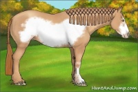 Horse Color:Gold Champagne Frame 