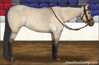 Horse Color:Brown Roan Dun 