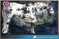 Horse Color:Midnight Silver Grullo Ice Sabino Splash  and Midnight Grullo Ice Sabino Splash Tobiano 