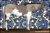 Horse Color:Grullo Sabino Splash  and Brown Dun Sabino Splash 