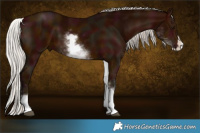 Horse Color:White Spotted Midnight Silver Bay Splash 