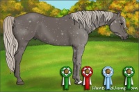 Horse Color:Silver Black 