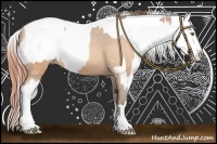 Horse Color:Sable Champagne Sabino Tobiano Appaloosa  and Sable Champagne Dun Sabino Tobiano Appaloosa 
