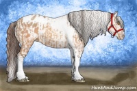 Horse Color:Sable Champagne Sabino Tobiano Varnish  and Sable Champagne Sabino Splash Tobiano Varnish 