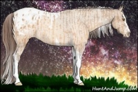 Horse Color:Sable Champagne Sabino Tobiano Appaloosa  and Sable Champagne Sabino Splash Tobiano Appaloosa 