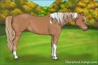 Horse Color:Chestnut Tobiano 