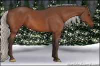 Horse Color:Silver Bay