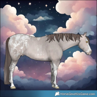 Horse Color:Platinum Sable Champagne Sabino Tobiano Blanket  and Platinum Sable Champagne Sabino Splash Tobiano Blanket 