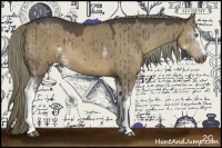 Horse Color:White Spotted Liver Red Dun Sabino