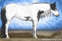 Horse Color:Black Tobiano Frame Varnish Rabicano 