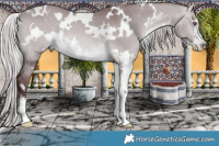 Horse Color:White Spotted Chocolate Silver Brown Chinchilla Dun Sabino 