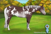 Horse Color:White Spotted Chocolate Silver Brown Chinchilla Sabino