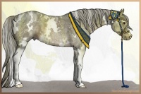 Horse Color:White Spotted Liver Chestnut Ice