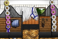 Horse Color:Smoky Black Pearl Sabino Tobiano Appaloosa 