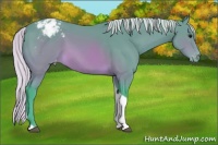 Horse Color:Watercolor Silver Brown Tobiano Appaloosa Rabicano 