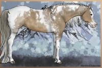 Horse Color:Liver Red Dun Sabino Splash Tobiano