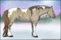 Horse Color:Liver Red Dun Ice Sabino Tobiano Rabicano