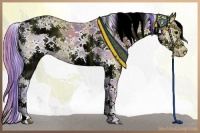 Horse Color:Watercolor Plaid  White Spotted Black Ice 