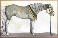 Horse Color:Silver Black Chinchilla Ice Splash 