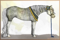 Horse Color:Silver Black Chinchilla Ice Splash 