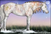 Horse Color:Nacre White Spotted Silver Brown Ice Dun Sabino Splash Rabicano