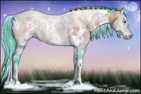 Horse Color:Watercolor Plaid  White Spotted Brown Chinchilla Onyx Sabino Rabicano 