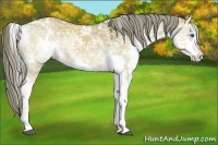 Horse Color:White Spotted Liver Red Dun Ice Splash 