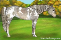 Horse Color:White Spotted Liver Chestnut Ice Sabino 