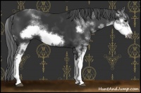 Horse Color:Black Sabino Frame