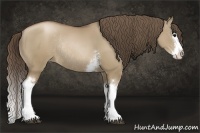 Horse Color:White Spotted Grullo Pearl Splash Rabicano