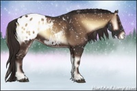 Horse Color:Liver Red Onyx Appaloosa